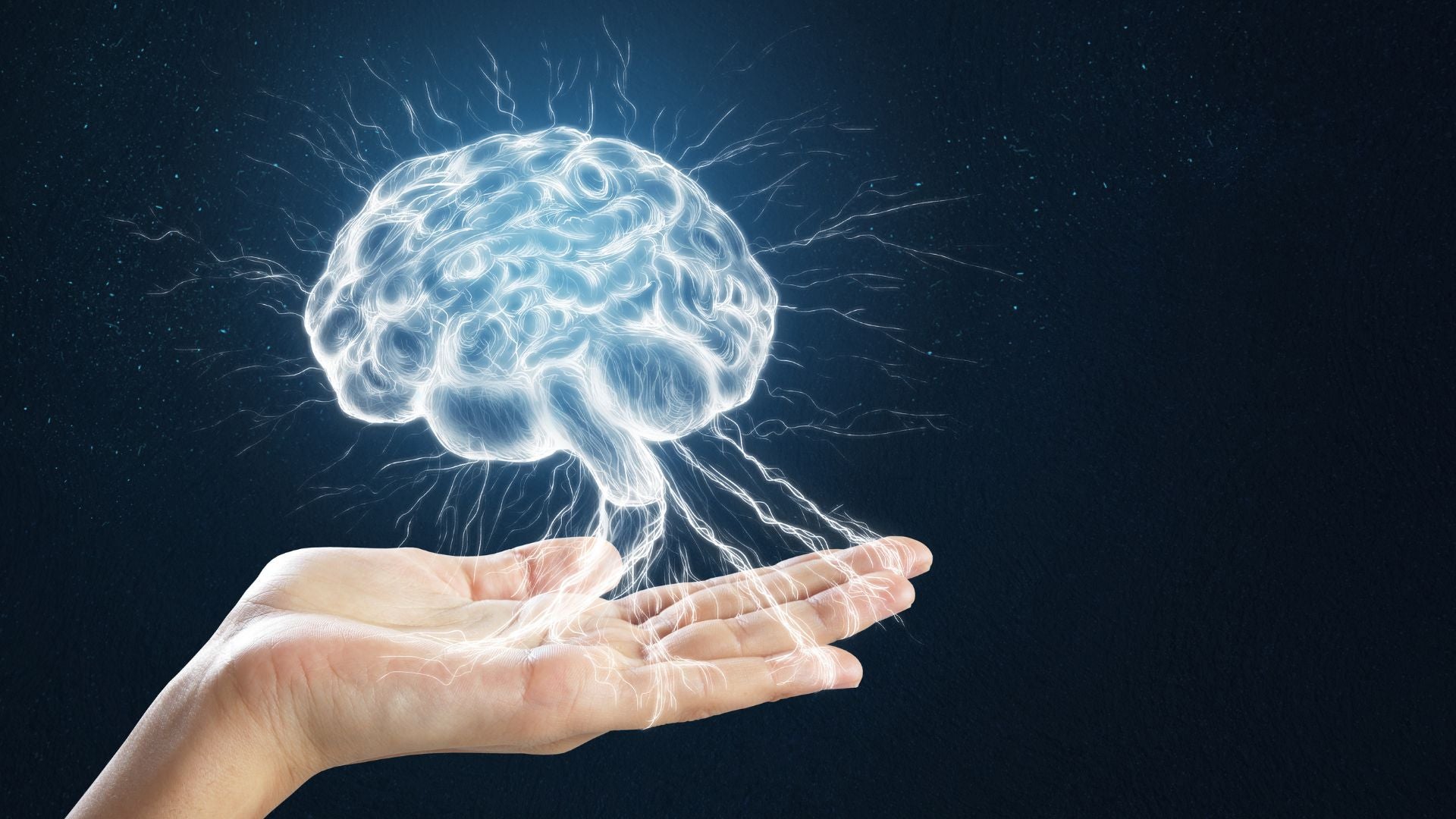 Brain at Maximum: A Diet for Concentration and Creativity