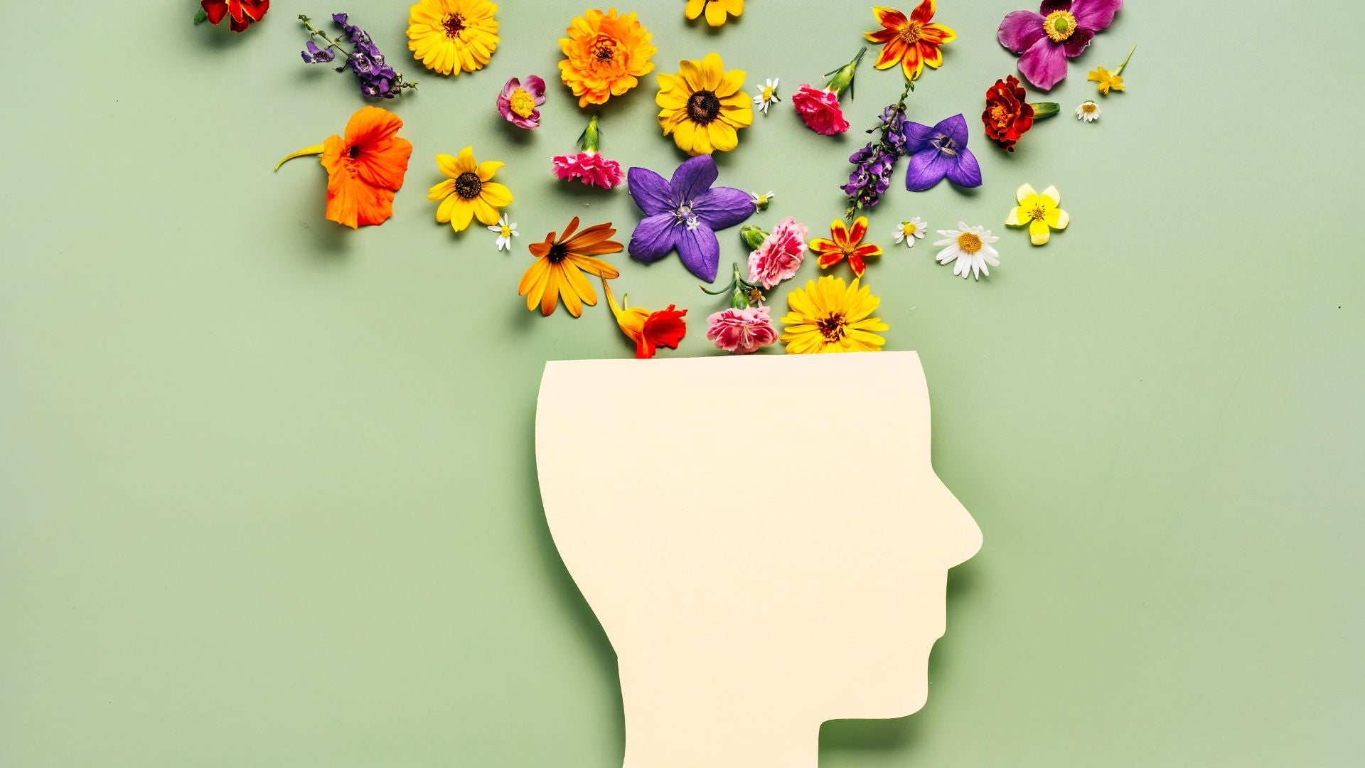 Nootropics and Mental Health: Can Brain Supplements Help with Anxiety and Depression?